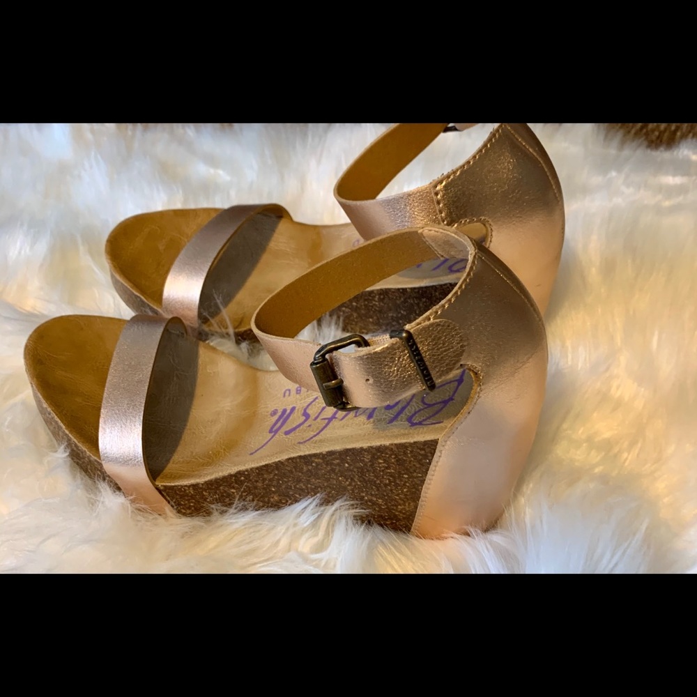 Blowfish Wedges